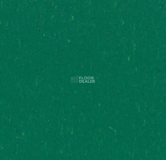 Forbo Marmoleum Decibel on Order 364935 greenwood фото 1 | FLOORDEALER